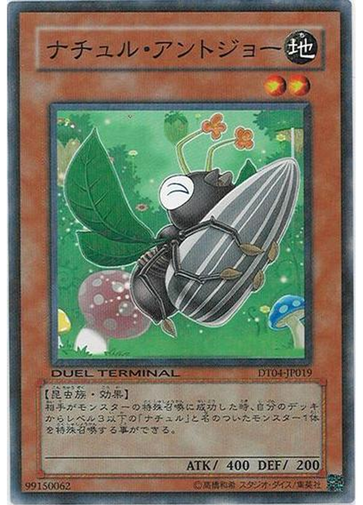 ナチュル・アントジョー