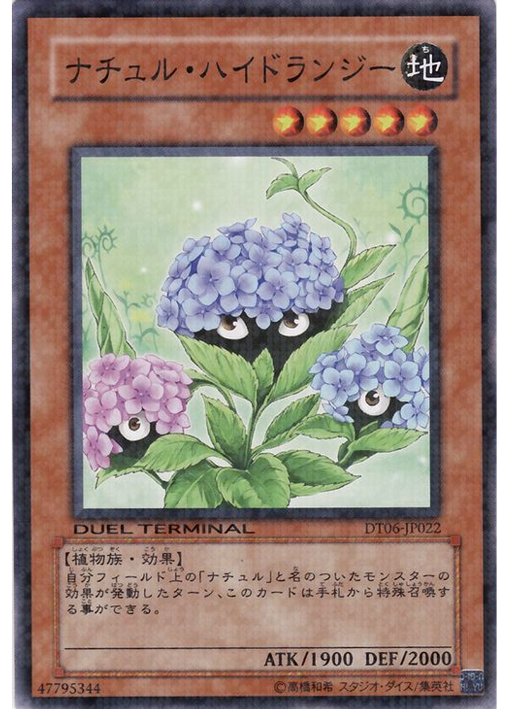 ナチュル・ハイドランジー