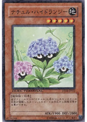 ナチュル・ハイドランジー