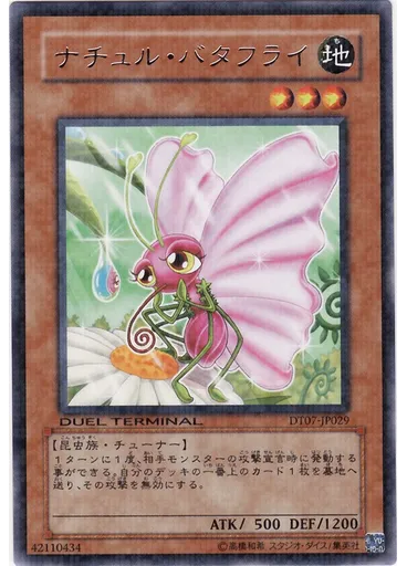 ナチュル・バタフライ