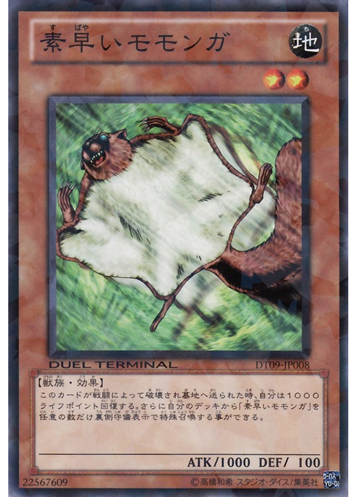素早いモモンガ