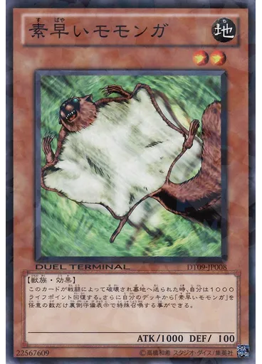 素早いモモンガ