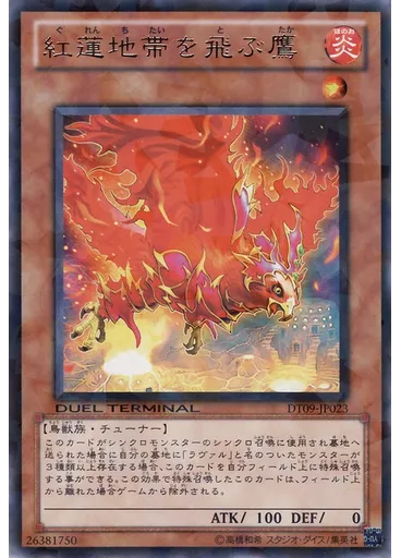 紅蓮地帯を飛ぶ鷹