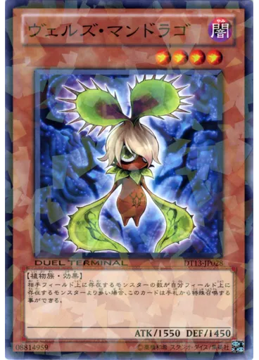 ヴェルズ・マンドラゴ