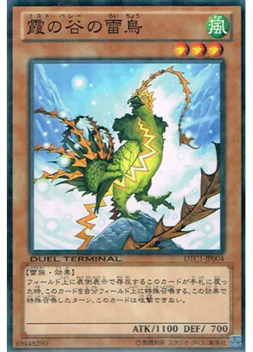 霞の谷の雷鳥