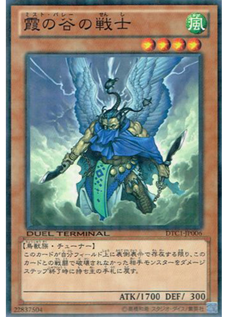 霞の谷の戦士