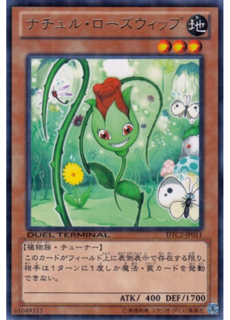ナチュル・ローズウィップ