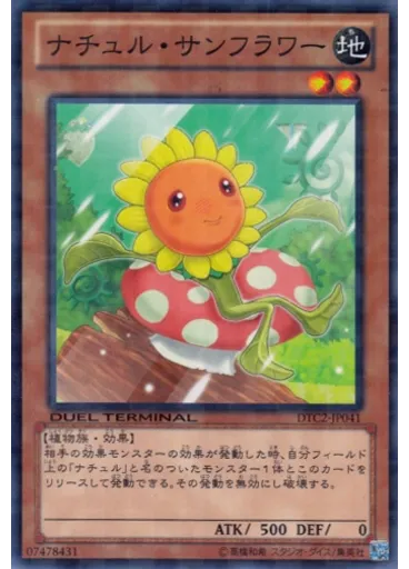 ナチュル・サンフラワー