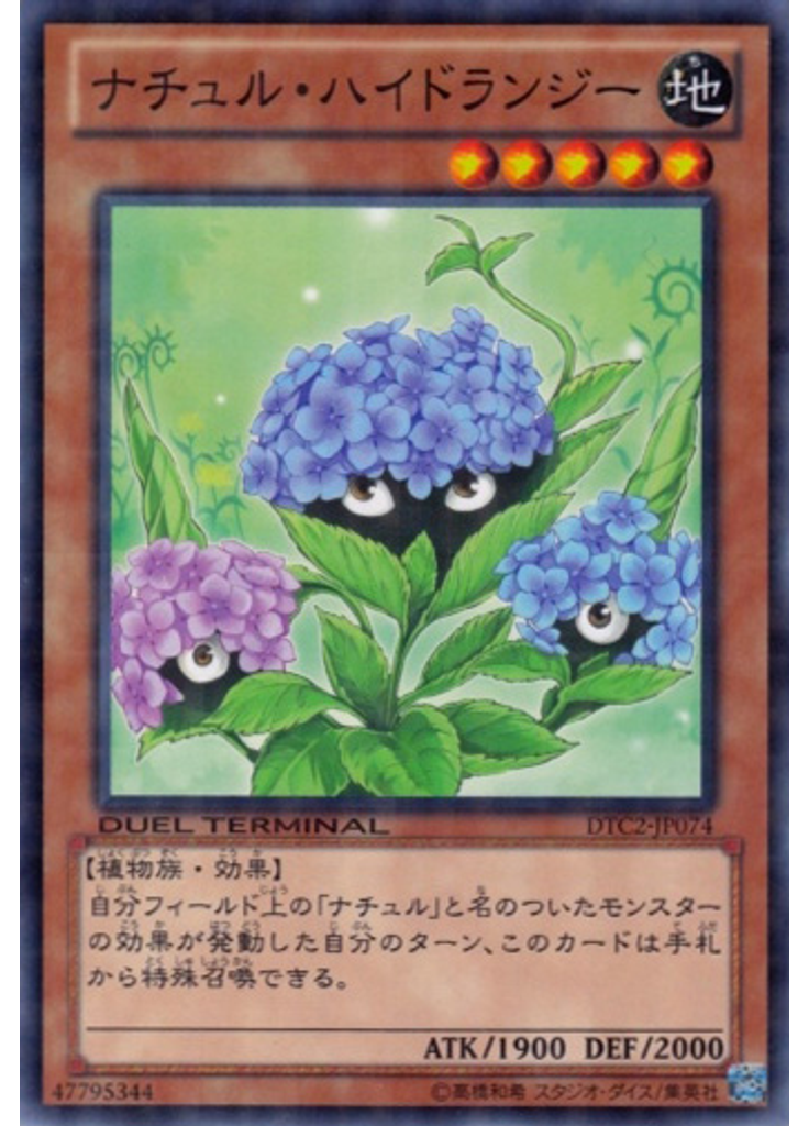 ナチュル・ハイドランジー