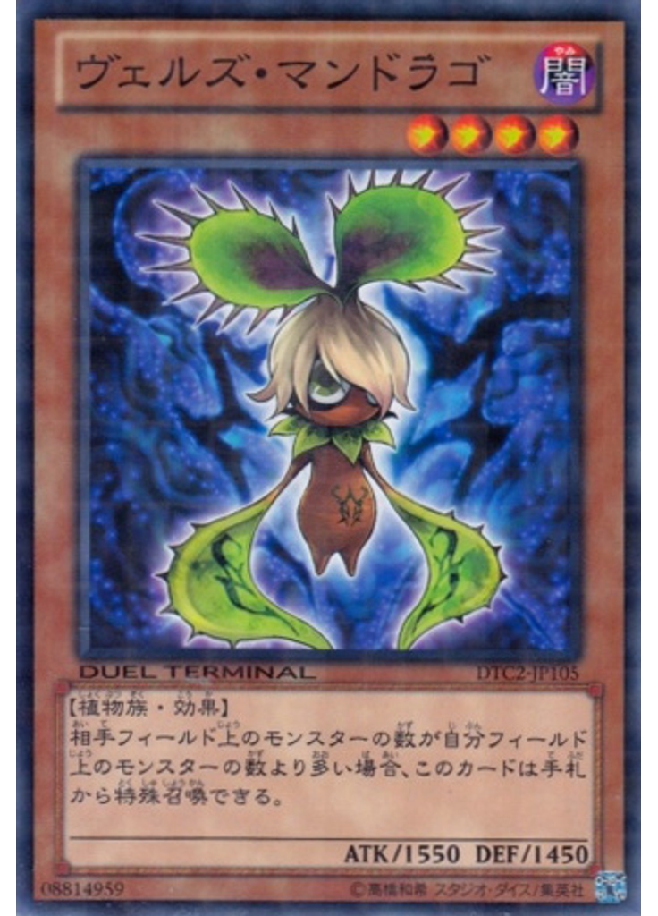 ヴェルズ・マンドラゴ