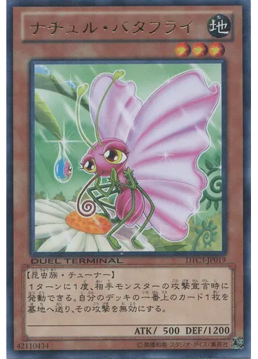 ナチュル・バタフライ
