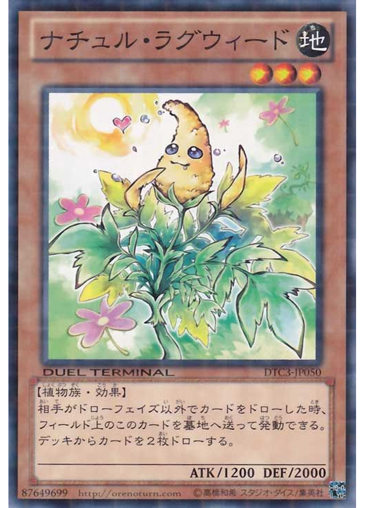 ナチュル・ラグウィード