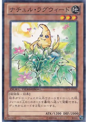 ナチュル・ラグウィード