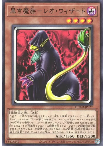 黒き魔族－レオ・ウィザード
