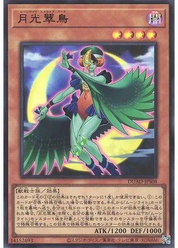 月光翠鳥