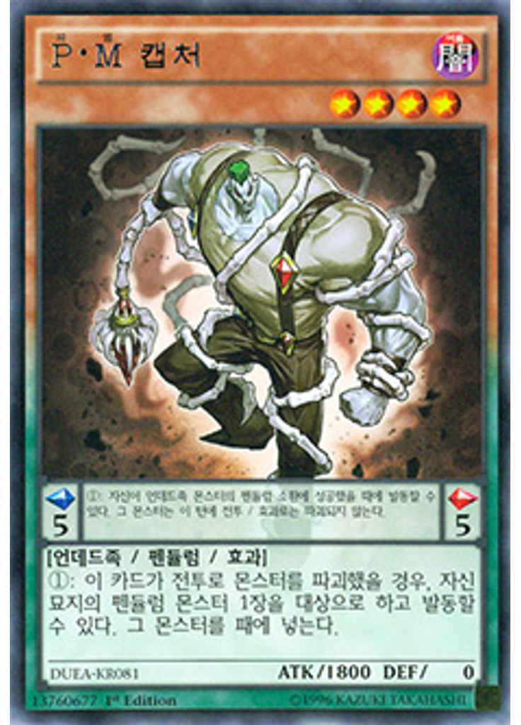 P·M 캡처
