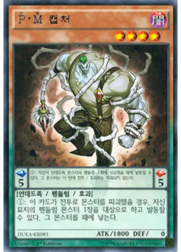 P·M 캡처