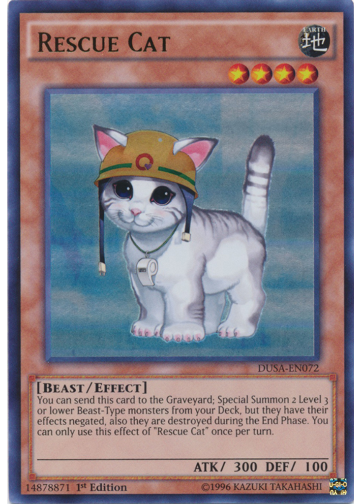 Rescue Cat