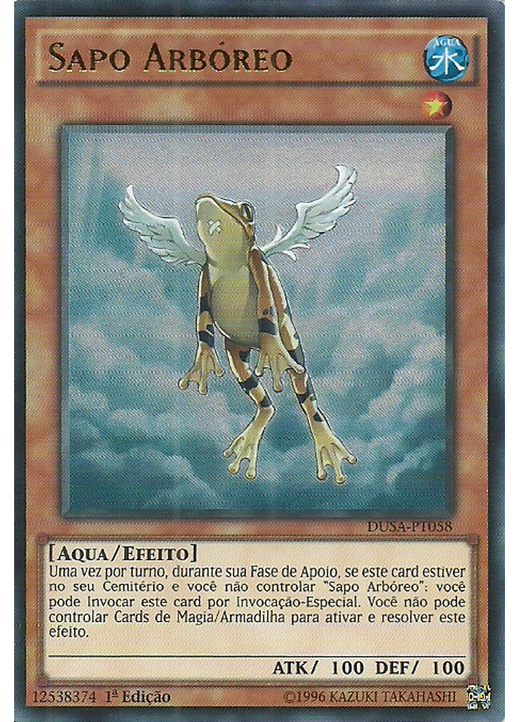 Sapo Arbóreo