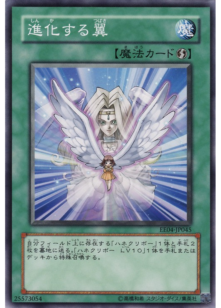 進化する翼