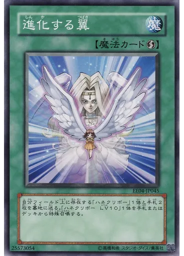 進化する翼