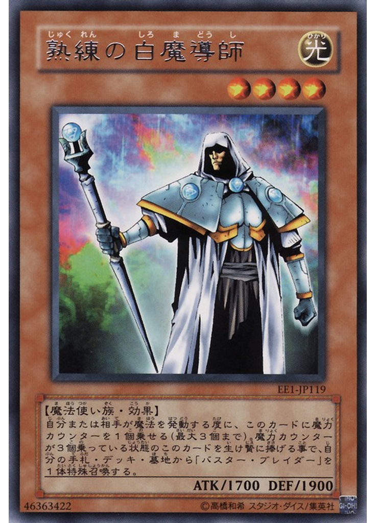 熟練の白魔導師