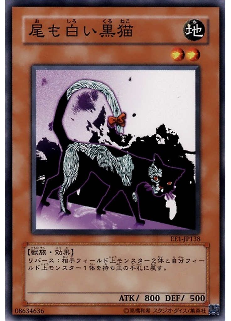 尾も白い黒猫