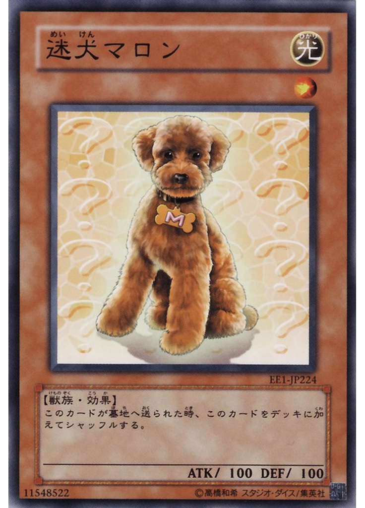 迷犬マロン