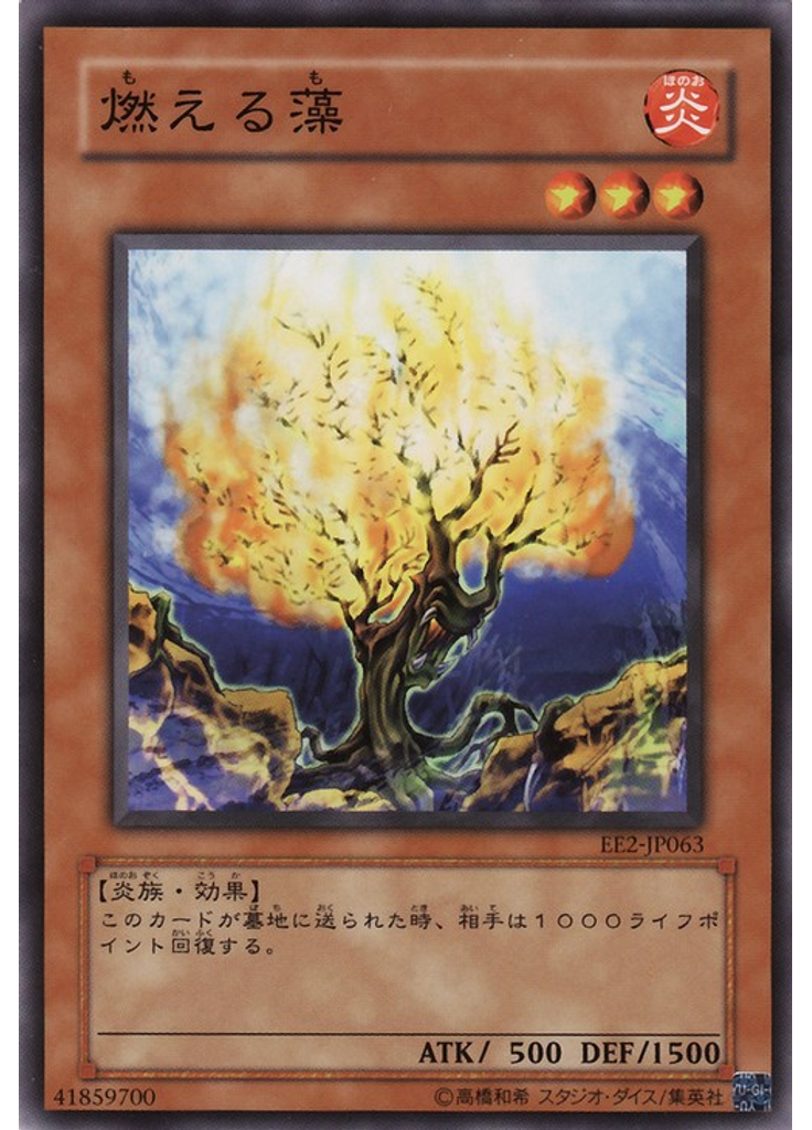 燃える藻