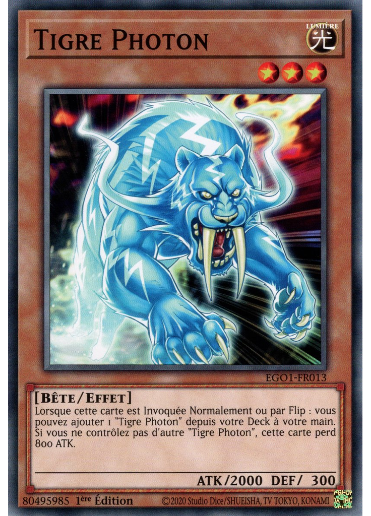 Tigre Photon