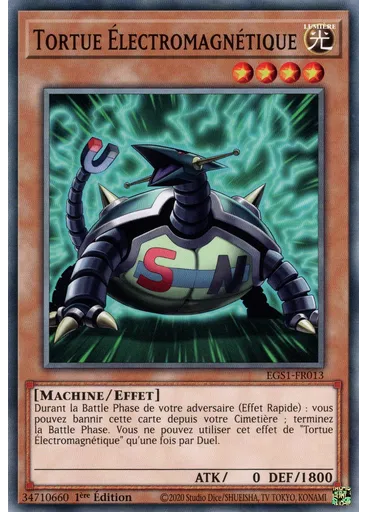Tortue Électromagnétique