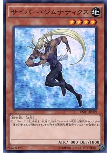 サイバー・ジムナティクス