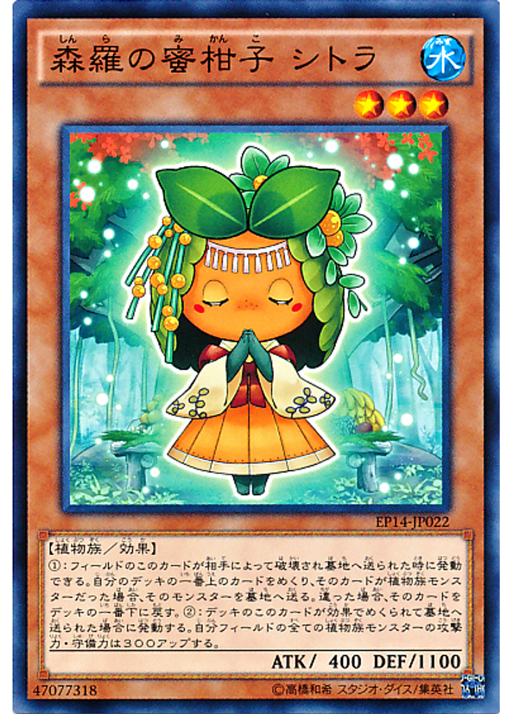 森羅の蜜柑子 シトラ