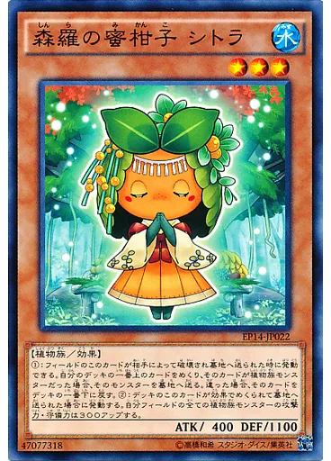 森羅の蜜柑子 シトラ