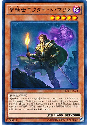 聖騎士エクター・ド・マリス