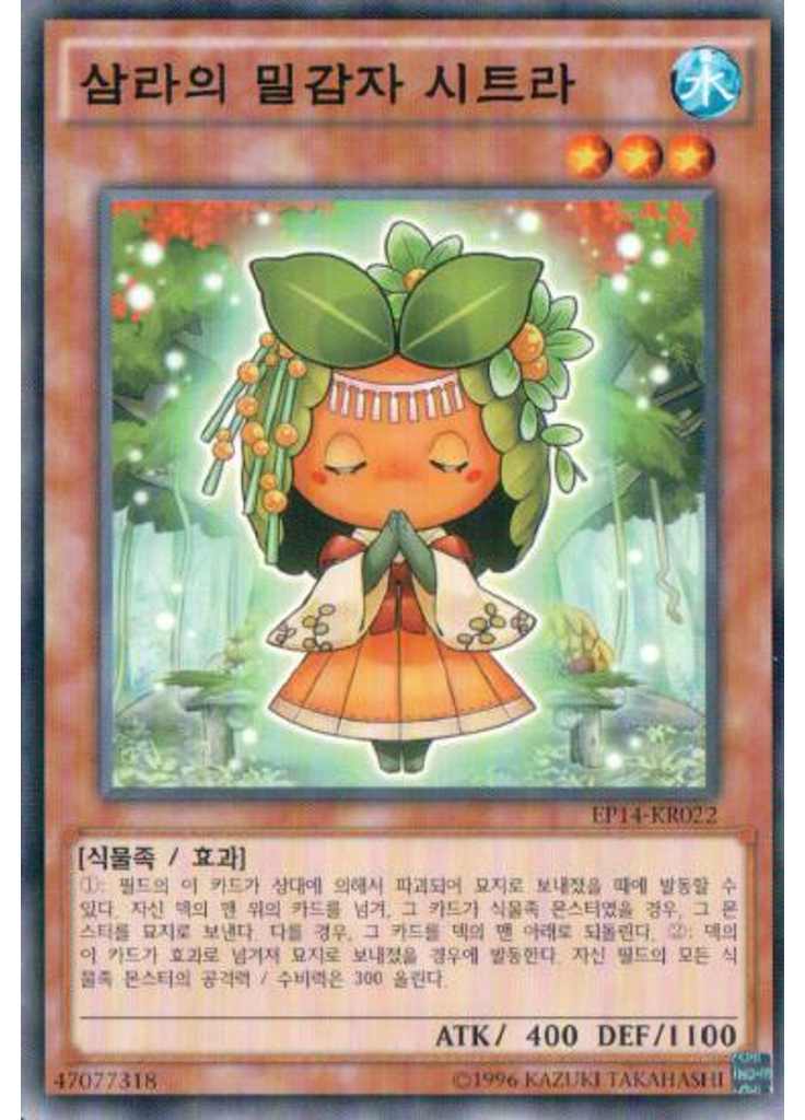 삼라의 밀감자 시트라