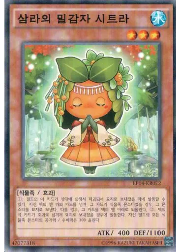 삼라의 밀감자 시트라