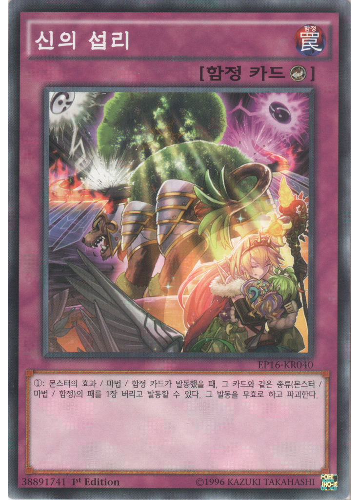 신의 섭리