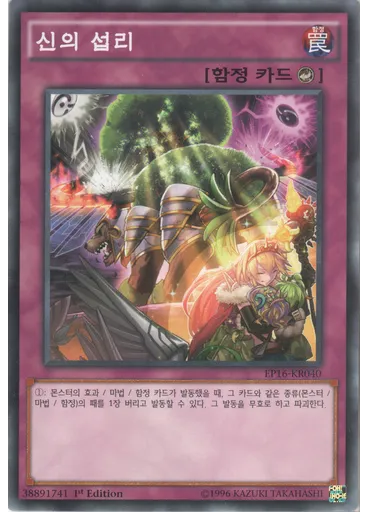 신의 섭리