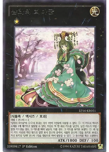 삼라의 희아궁