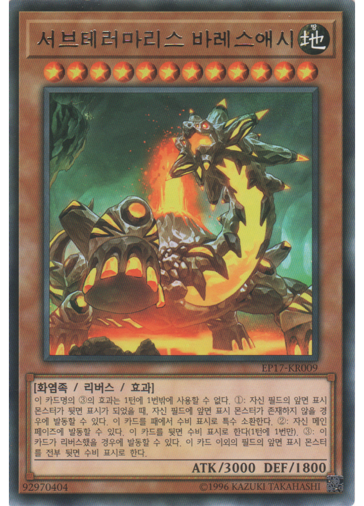 서브테러마리스 바레스애시