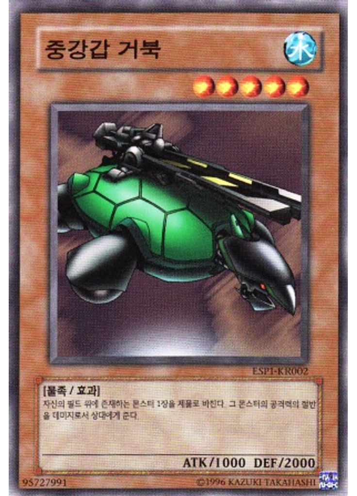 중강갑 거북