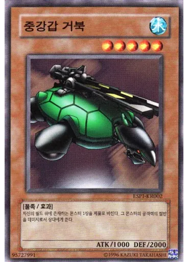 중강갑 거북