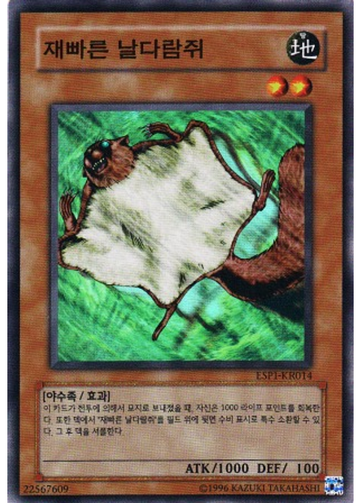 재빠른 날다람쥐