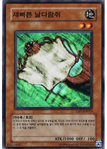 재빠른 날다람쥐
