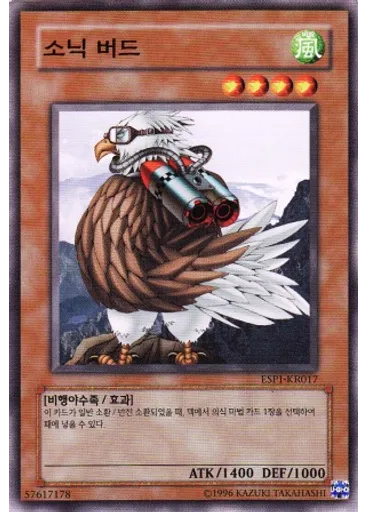 소닉 버드