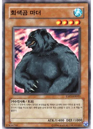 회색곰 마더