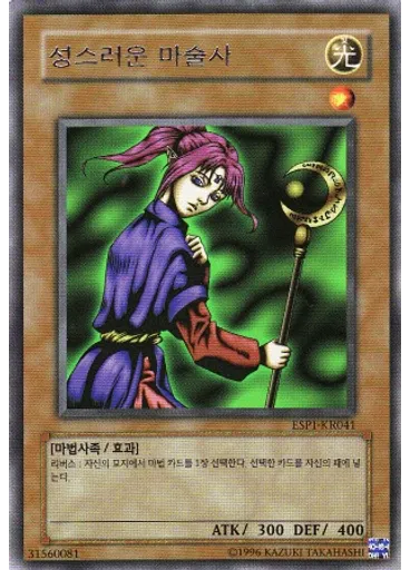 성스러운 마술사