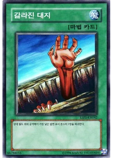 갈라진 대지
