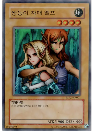 쌍둥이 자매 엘프